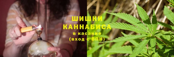стаф Нефтегорск