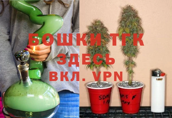 бошки Надым