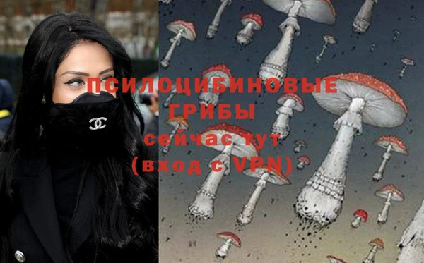 стаф Нефтегорск