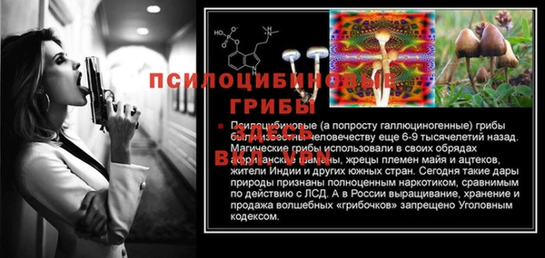 MESCALINE Горно-Алтайск