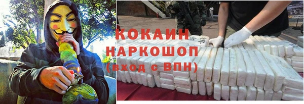 стаф Нефтегорск
