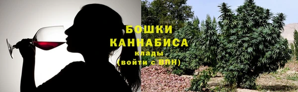 стаф Нефтегорск